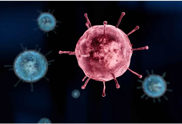 दिल्लीतील कोरोना : दिवसभरात 54 नवे रुग्ण; तर दोघांचा मृत्यू