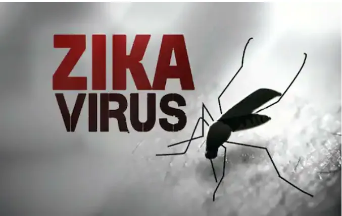 झिका विषाणू : केंद्र सरकारने केरळमध्ये पाठवली तज्ज्ञांची टीम