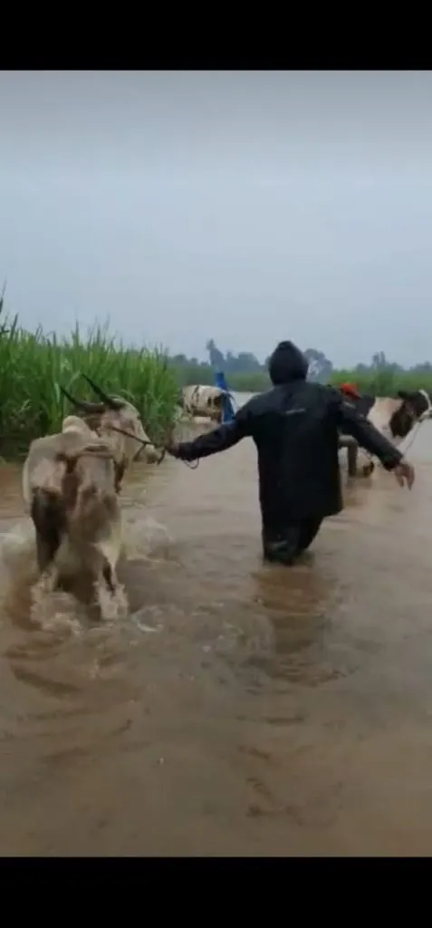 पंचगंगेने इशारा पातळी ओलांडली ; रात्रीपर्यंत धोका पातळी गाठण्याची शक्यता