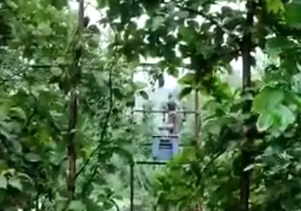 रत्नागिरी (संगमेश्वर) : जीव धोक्यात घालून त्याने केला वीज पूरवठा बंद