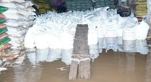 कोल्हापूर : राधानगरी तालुका संघाच्या खत गोडावूनमध्ये शिरले पाणी; २० लाखांचे नुकसान