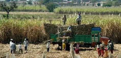 यंदा एफआरपीमध्ये ५० रुपयांनी वाढ