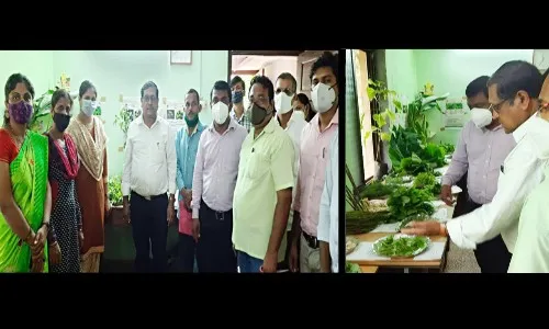 सावंतवाडीत रानभाजी महोत्सवाचे उद्घाटन