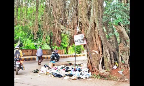 भावी नगरसेवकांकडून अपेक्षा स्मार्ट सिटी अन् स्वच्छ परिसराची!