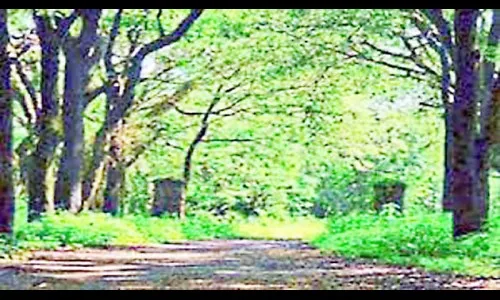 व्हॅक्सिन डेपोच्या याचिकेवर 6 सप्टेंबर रोजी होणार सुनावणी