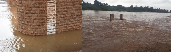 कोयना, वारणा फुल्ल; नदीकाठ धास्तावला