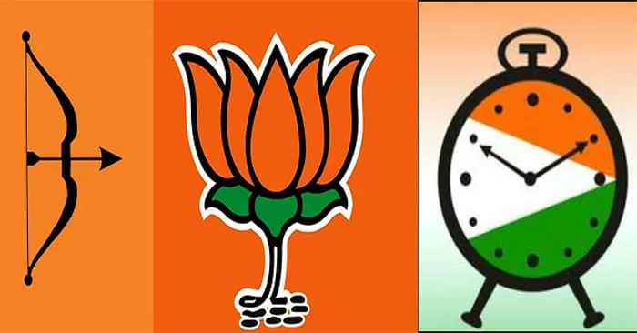 परळी खोऱ्यात वाघाची डरकाळी अन् घड्याळाचा गजर