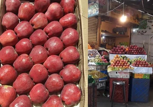 Navaratri : यंदा नवरात्रचा उपवास महागला