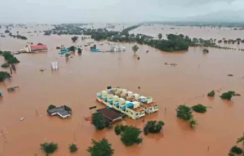 पिक नुकसान भरपाई मिळणार, पण तुटपुंजी