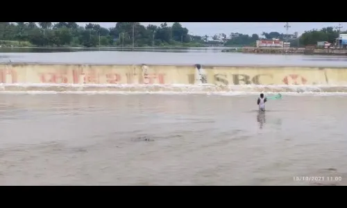 माणगंगा दुथडी, पिकांचे नुकसान