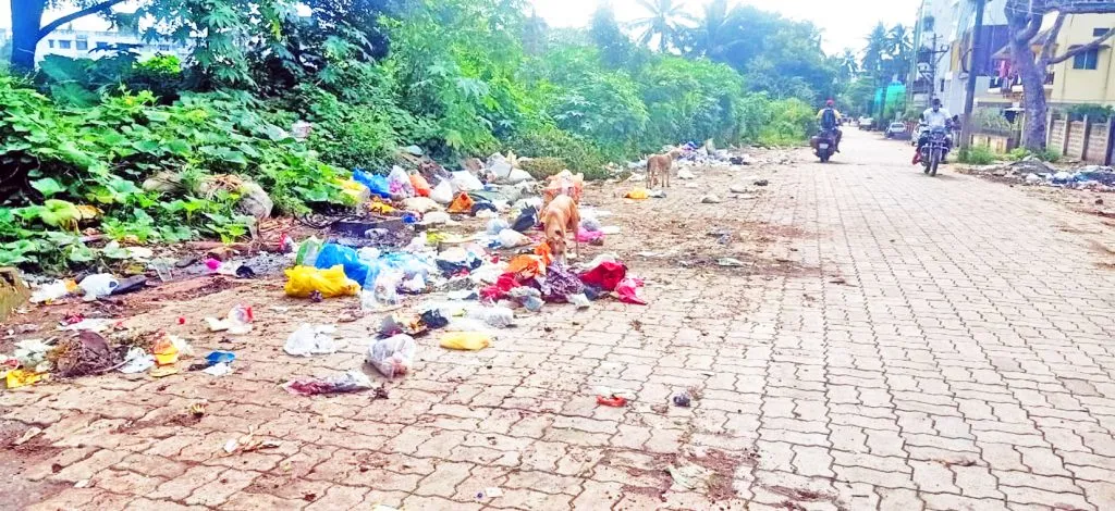 शिवाजी कॉलनीत कचऱयाचे साम्राज्य