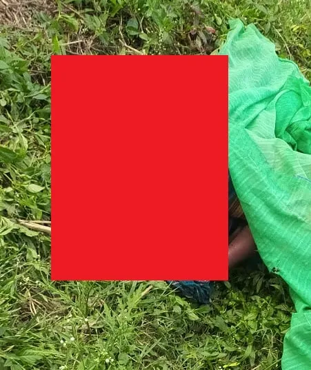 गुराळ येथे सोने हिसकावण्यासाठी चोरट्याने केलेल्या हल्यात महिलेचा मृत्यू