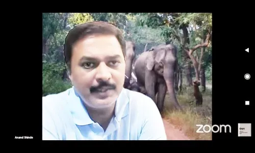 हत्ती नाहीसे झाल्यास निसर्गचक्र कोलमडेल