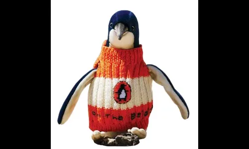 पेंग्विनसाठी स्वेटर विणणारा अवलिया