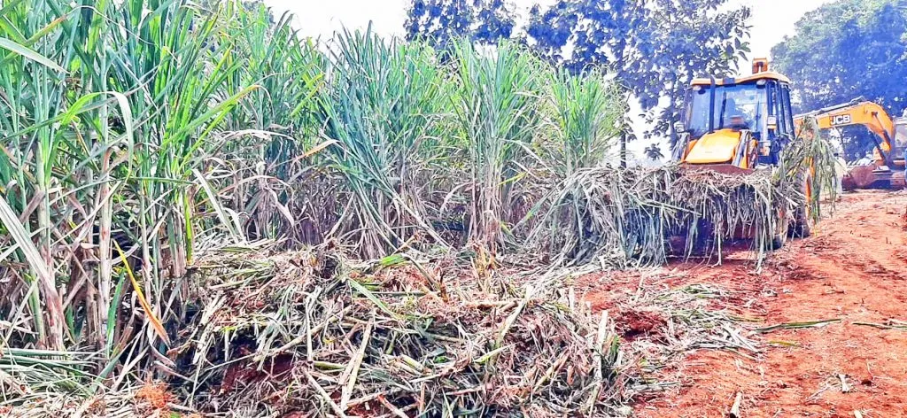 रस्त्याचा घाट, उभे पीक भुईसपाट!