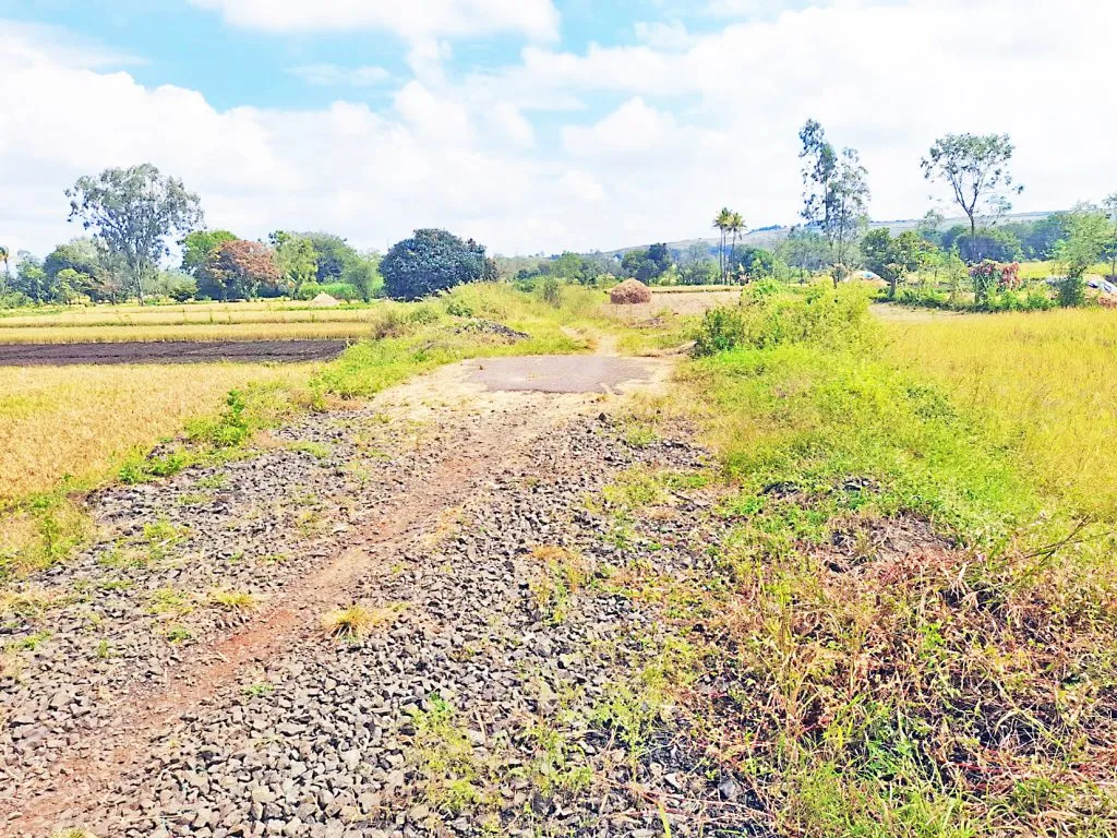 धामणे-बस्तवाड रस्ता अर्धवटच