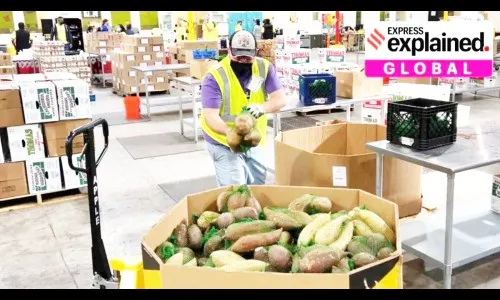 जगभरातच महागाईचा आगडोंब