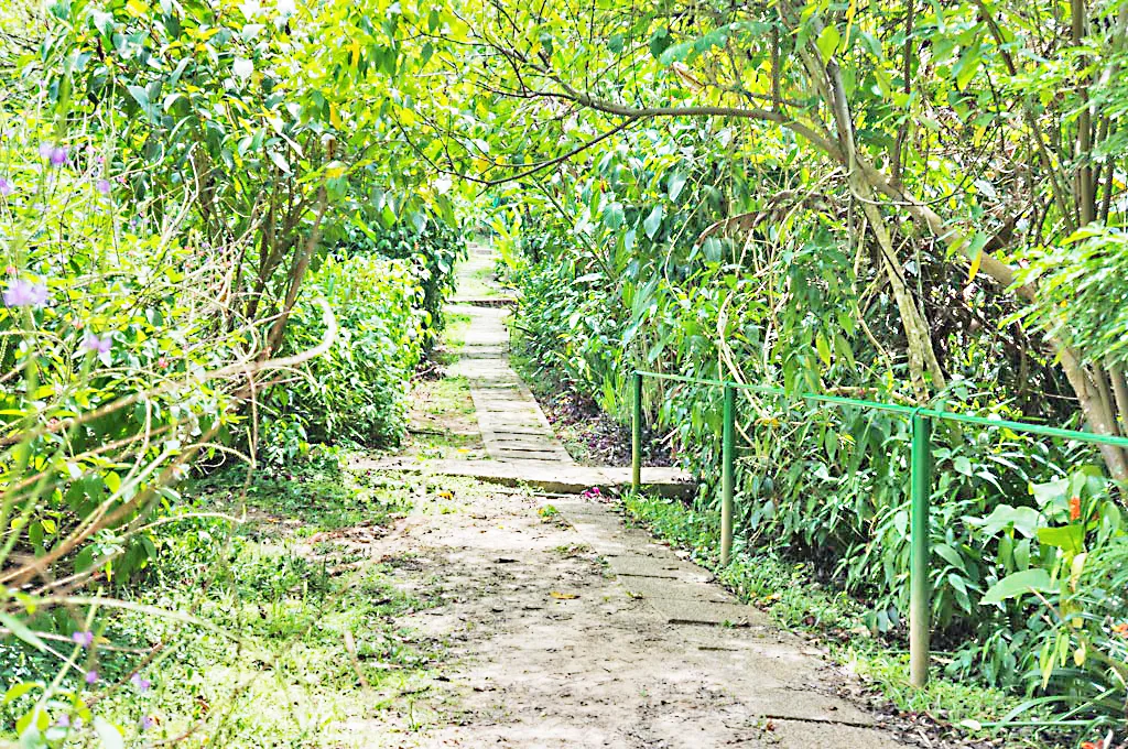 बागायत पिकांना विमा योजना