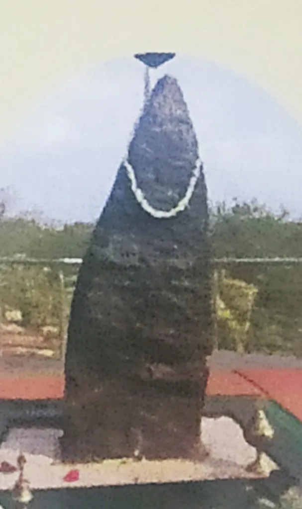 नावेली शनैश्वर मंदिरात शनी अमावास्या उत्सव