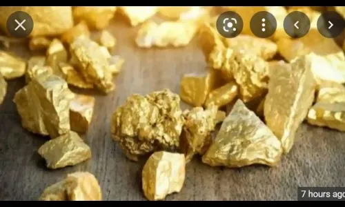 बिहारमध्ये सापडले सर्वात मोठे सुवर्णभांडार