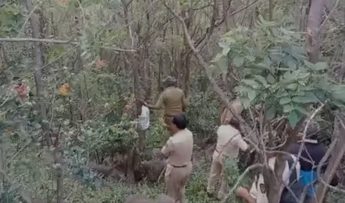 वनविभागाकडून गव्याची शोध मोहीम सुरु