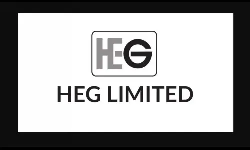 एचईजी समभागाचा उत्तम परतावा