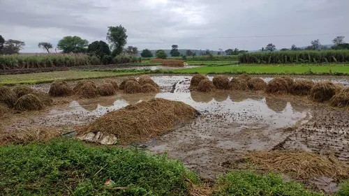 कुदनूरसह परिसरात एका रात्रीत होत्याचं नव्हतं झालं !