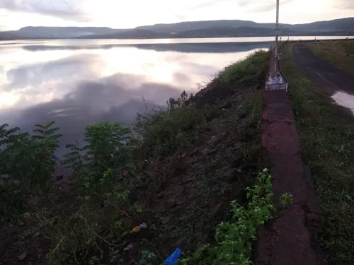 तुळशी जलाशय परिसरात ६९ मि. मि. अवकाळी पावसाची नोंद