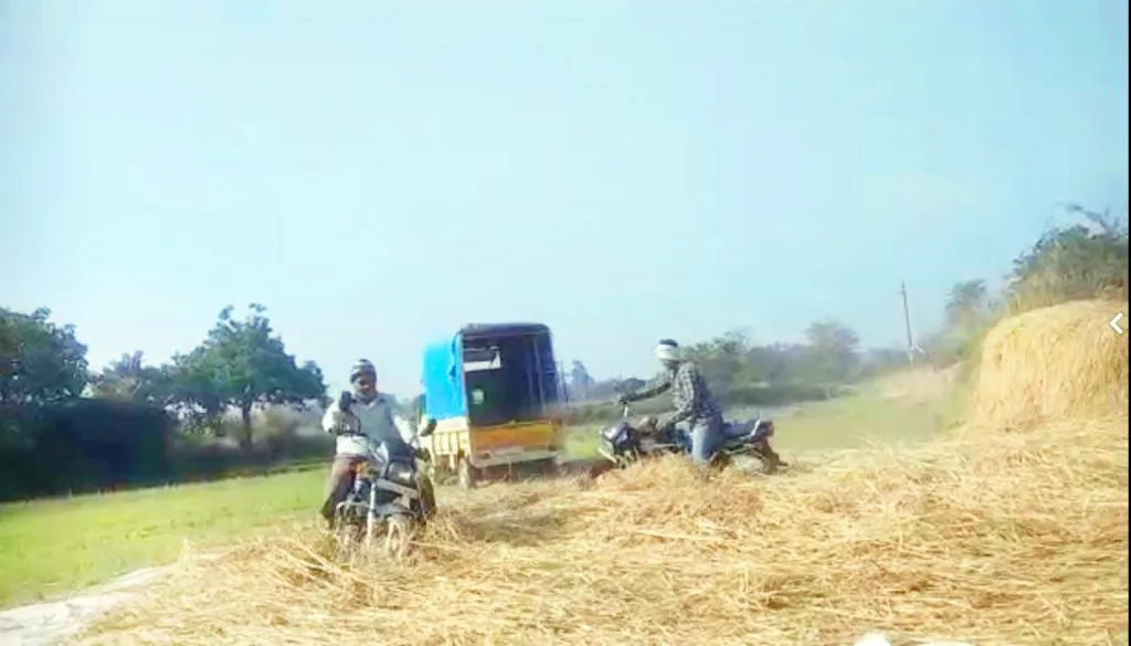 चक्क दुचाकीने केली भात मळणी