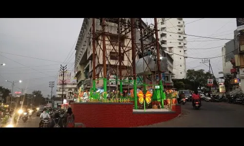 सातारा विकास आघाडीचा बटरफ्लाय पाँईट सापडणार वादाच्या भोवऱयात