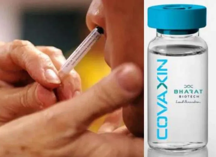 इंट्रानेसल बूस्टर डोसच्या चाचणीला DCGI ची परवानगी