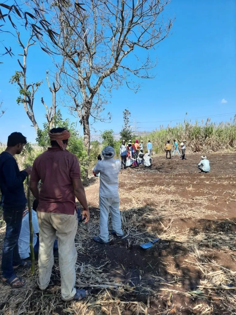 जिथे हल्ला झाला तिथे बिबट्या पुन्हा आला