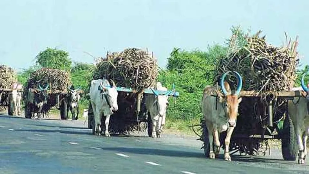 उसाच्या बैलगाडीखाली सापडून 8 वर्षीय मुलाचा मृत्यू