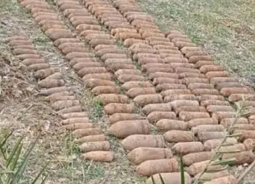 पंजाब : अंबाला जंगलात सापडले 230 बॉम्ब; संपूर्ण परिसर सील