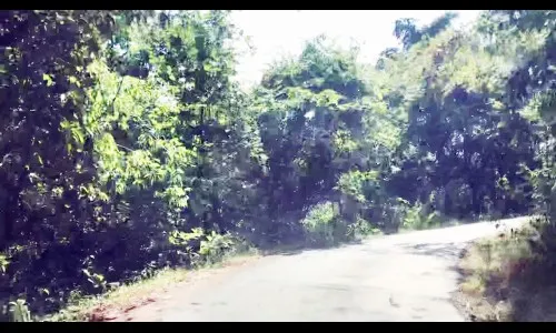 विकासाकडे दुर्लक्ष, राजकारण झाले केंद्रित