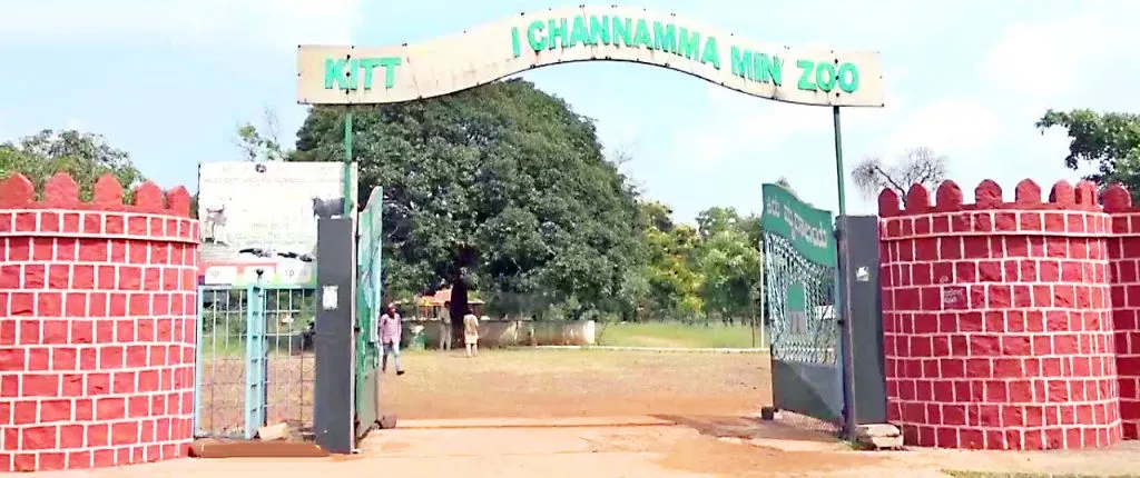 भुतरामहट्टीत टायगर सफारीचा मार्ग गतिमान