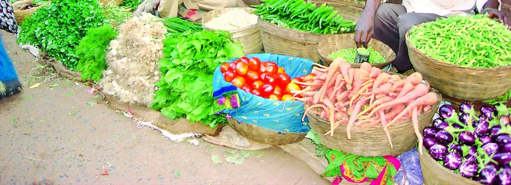 एपीएमसी बाजारात कांदा दरात घट