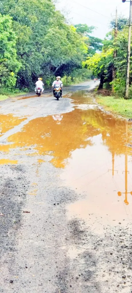 बसुर्ते फाटा-महाराष्ट्र हद्दीपर्यंत रस्त्याची दुर्दशा