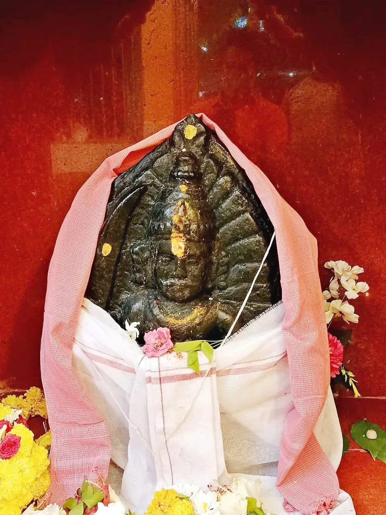 करमळी ग्रामपुरुषदेवाचा वार्षिक उत्सव आज