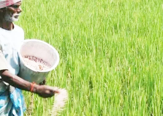 रासायनिक खतांच्या दरवाढीने शेतकरी अडचणीत