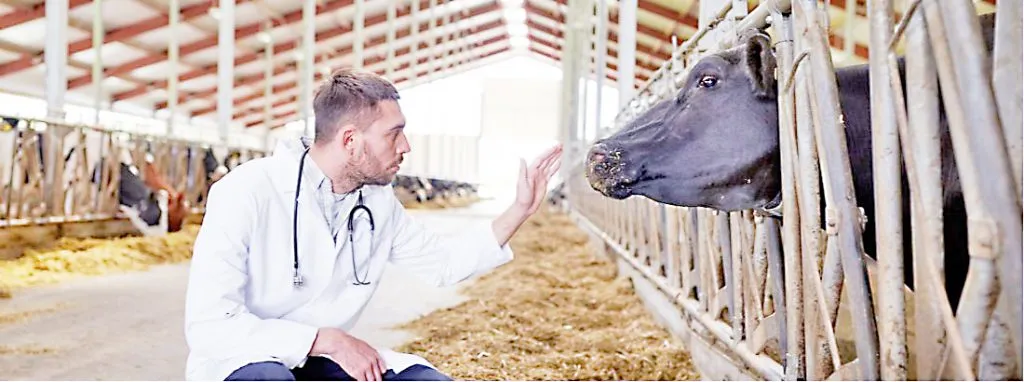 पशुवैद्यकीय क्षेत्रातील बदल आणि पशुवैद्यक