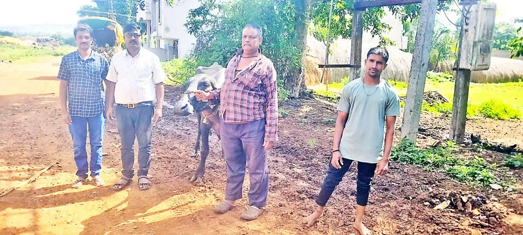 जनावरांच्या विमा योजनेला प्रारंभ