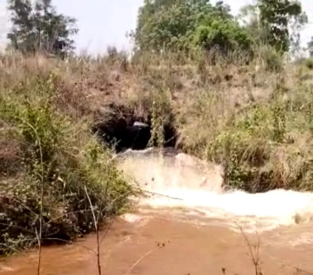 VIDEO-कोल्हापूर:दूधगंगा उजव्या कालव्याला भगदाड