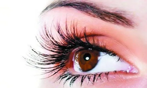 सावंतवाडीत मोफत नेत्र तपासणी शिबीर