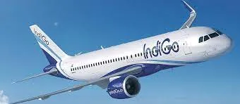 DGCA ने कोणता निर्णय घेतलाय? ज्यामुळे विमान प्रवाशांची अडवणूक थांबेल