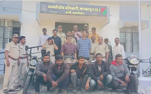 मांडलाईच्या जंगलात विनापरवाना शिकार करणाऱ्या पाच जणांना अटक