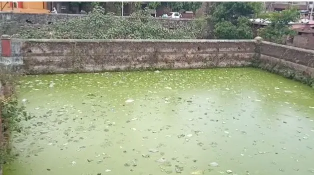 साताऱ्यातील तळ्यांच्या विकासासाठी उपमुख्यमंत्र्यांनी निधी द्यावा – नगरसेवक वसंत लेवे