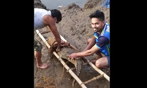 तरुणांनी दिले मगरीला जीवदान