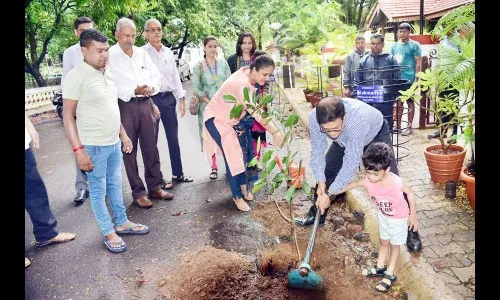 श्रृष्टीसौंदर्य जतनासाठी वृक्षरोपण करा