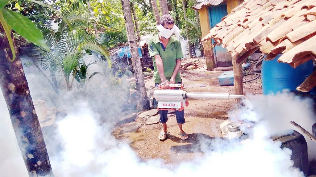 डेंग्यू नियंत्रणासाठी जोरदार प्रयत्न